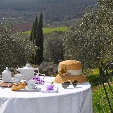 Il Ligustro By Interhome *